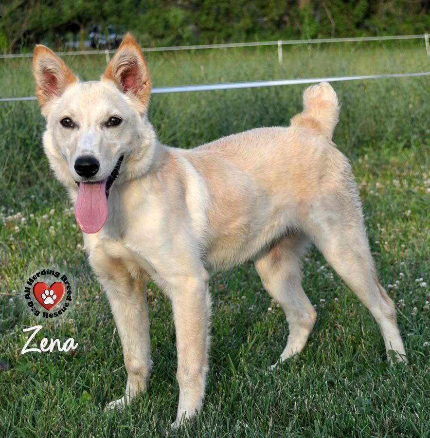 Zena photo 3