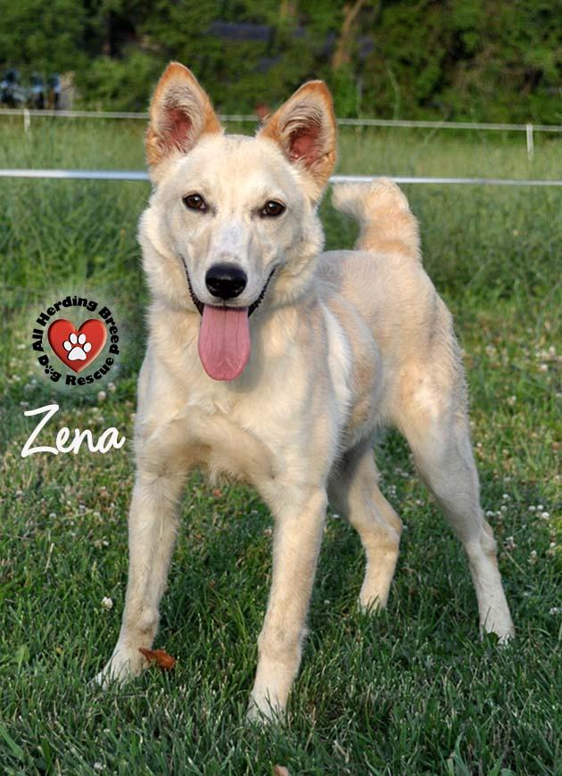 Zena photo 5
