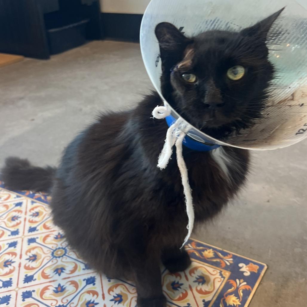 Midnight — thumbnail 2