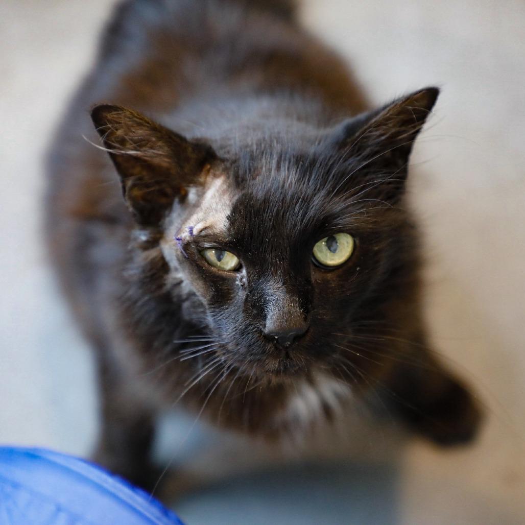 Midnight — thumbnail 4