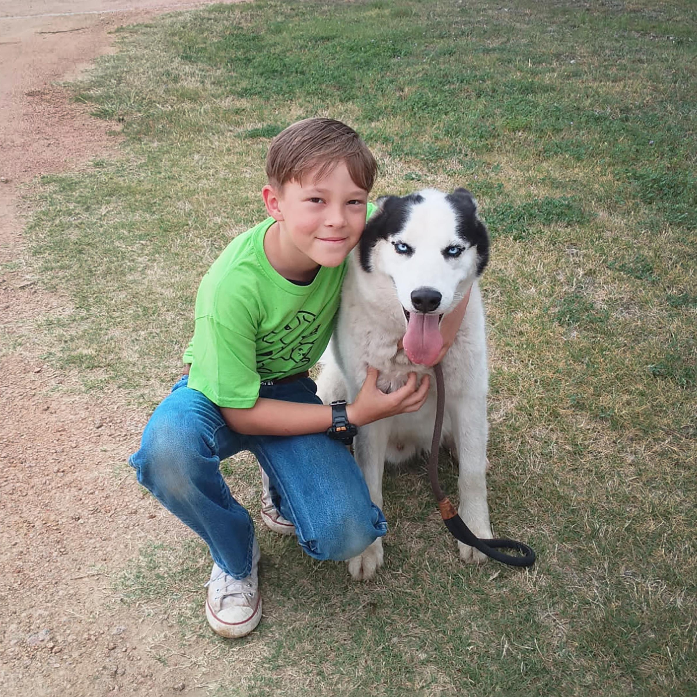 Gemini, ADOPTABLE, Adult Male Siberian Husky.