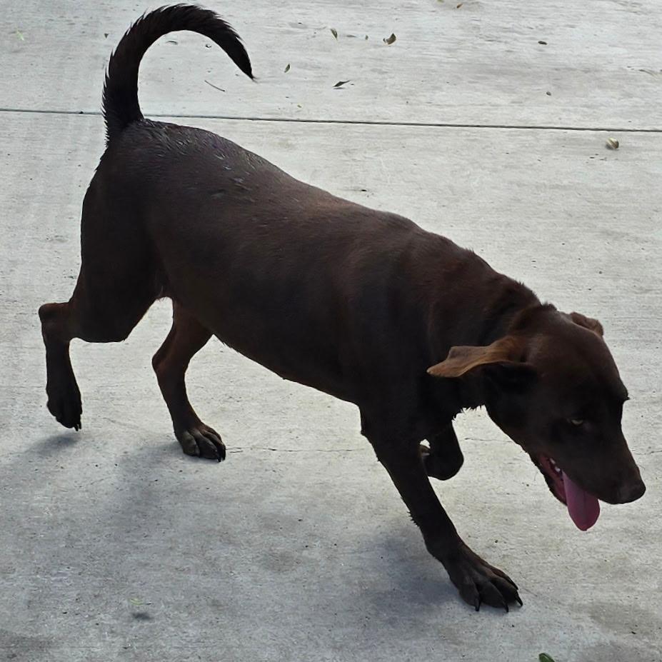 Roosevelt — thumbnail 2