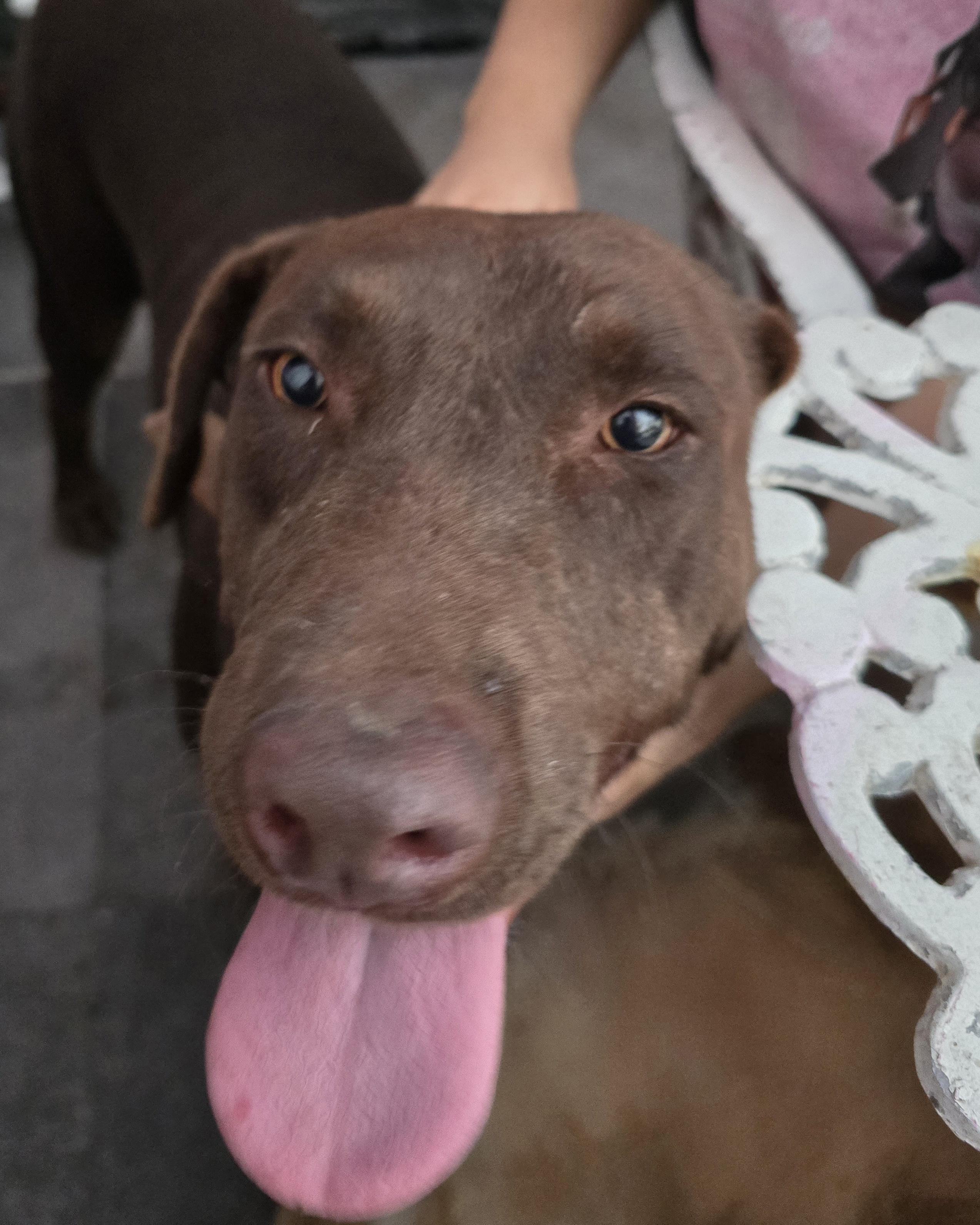 Roosevelt — thumbnail 4