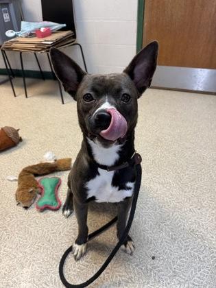 Buffy — thumbnail 2