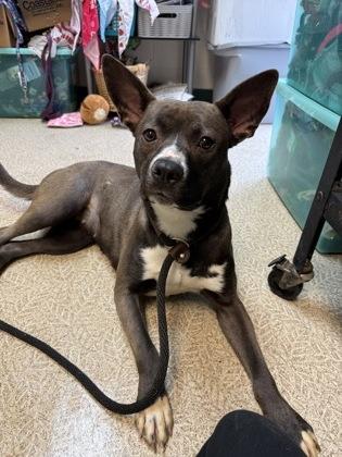 Buffy — thumbnail 3