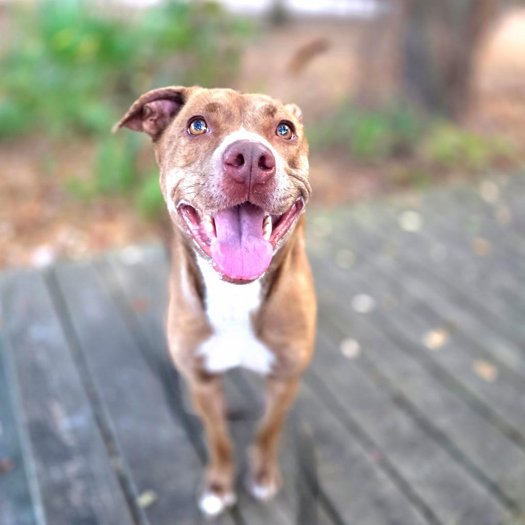 Penny — thumbnail 2