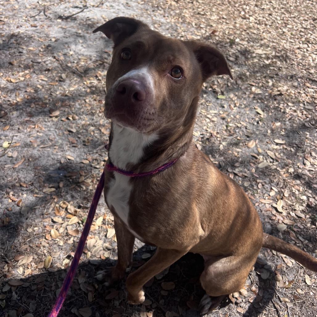 Penny — thumbnail 3