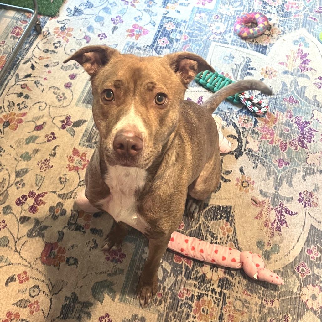 Penny — thumbnail 4