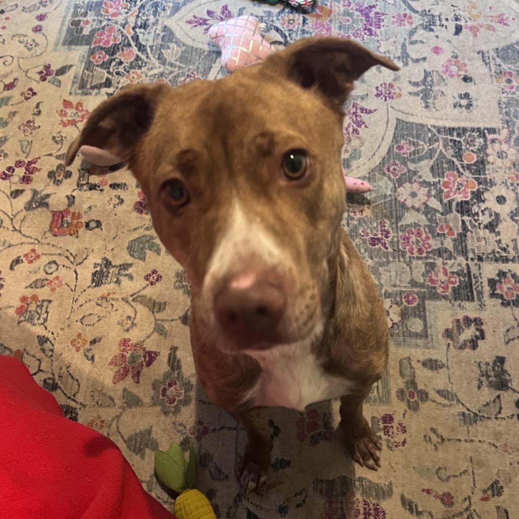 Penny — thumbnail 5