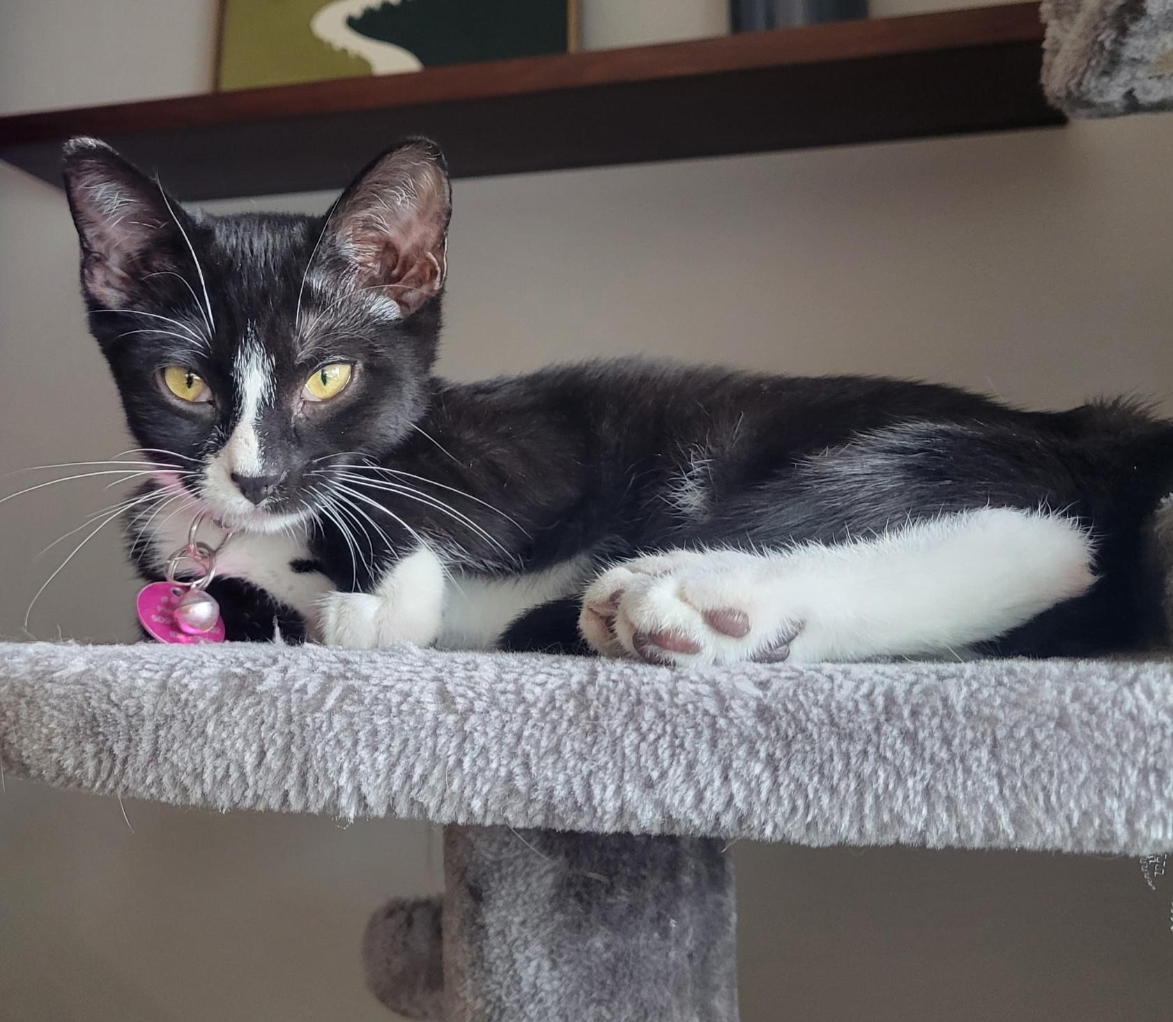 Jinx