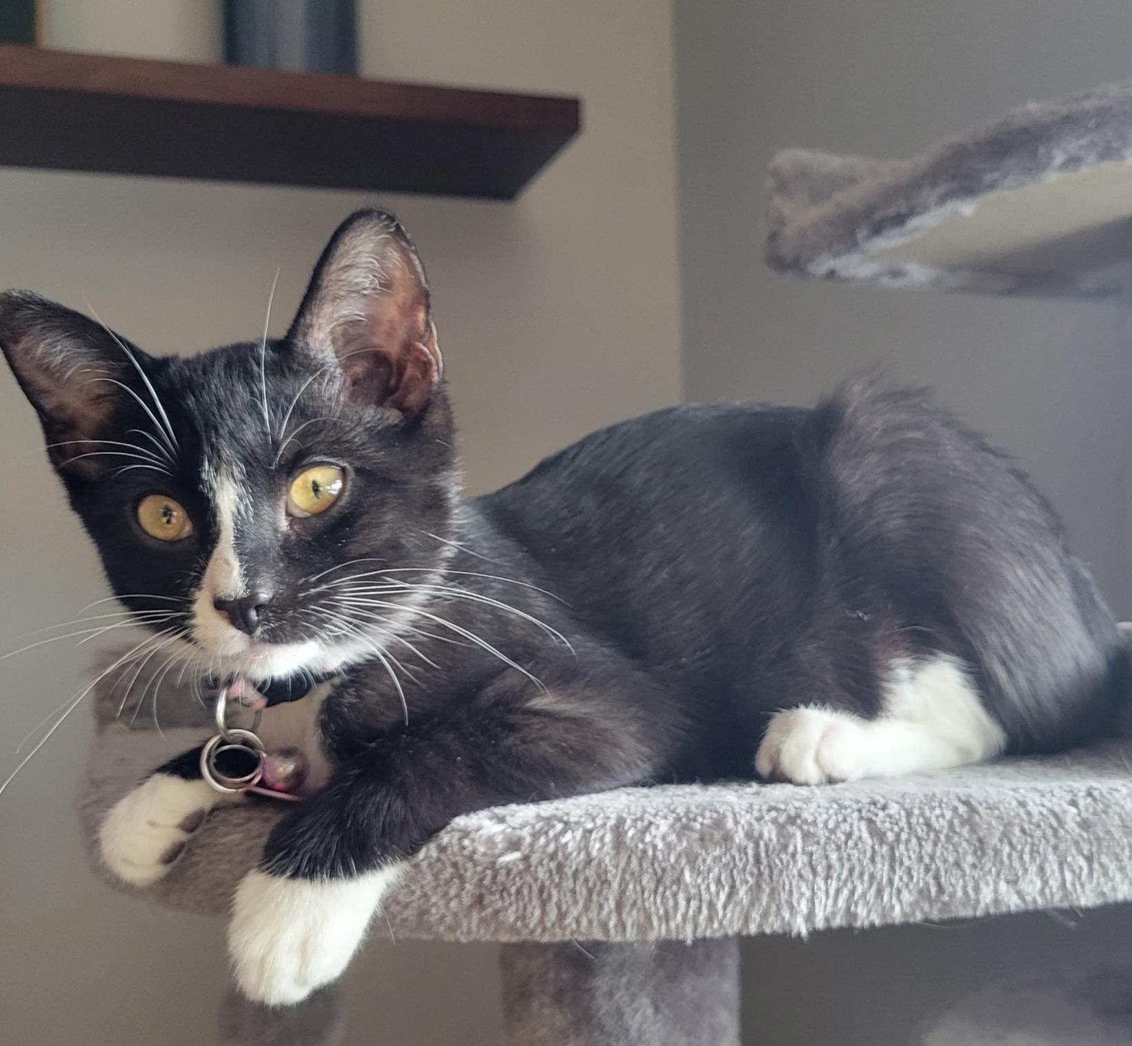Jinx