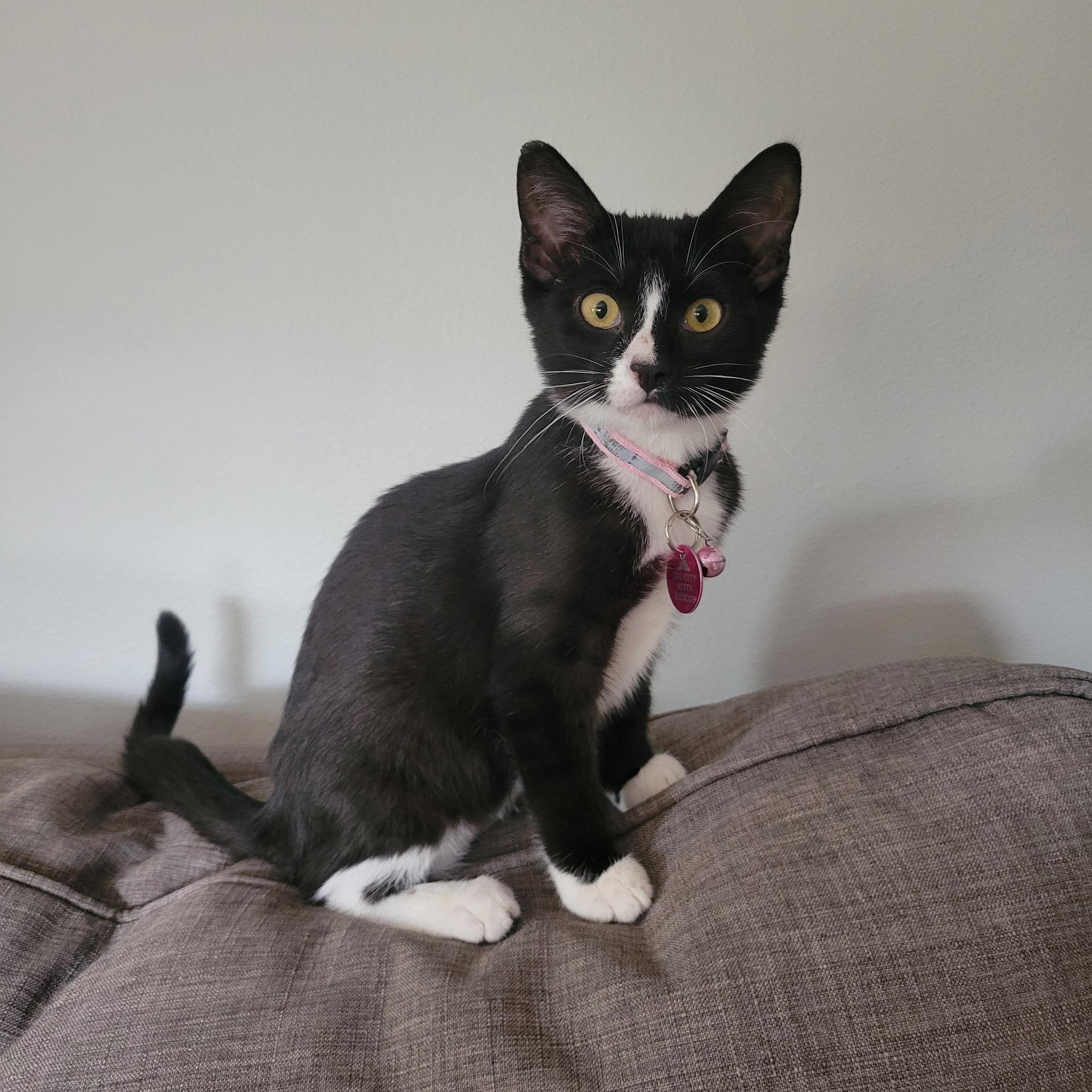 Jinx