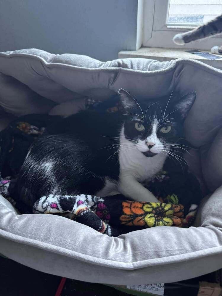 Heidi — thumbnail 2