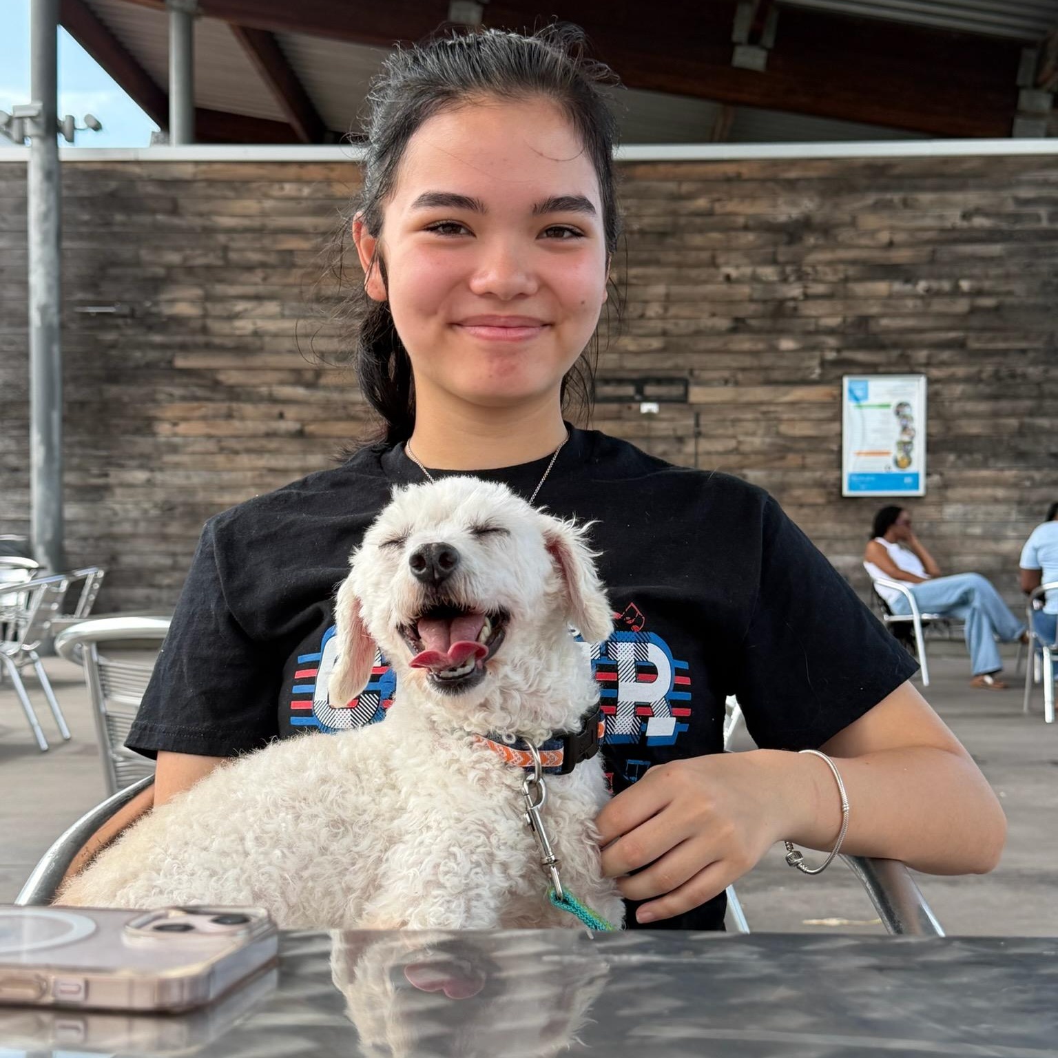 Andre, an adopted Miniature Poodle in Birmingham, AL image 3/6