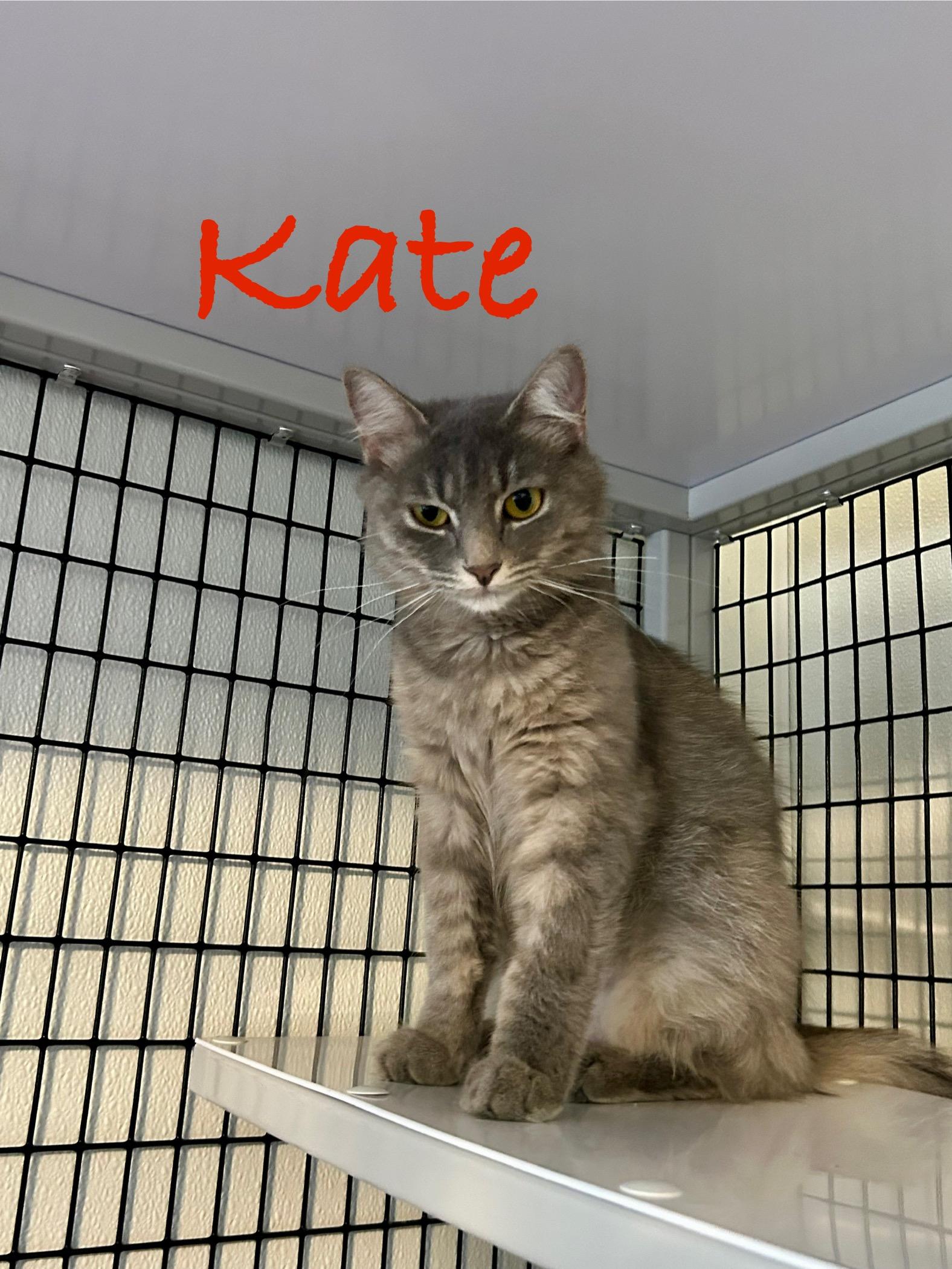 Kate