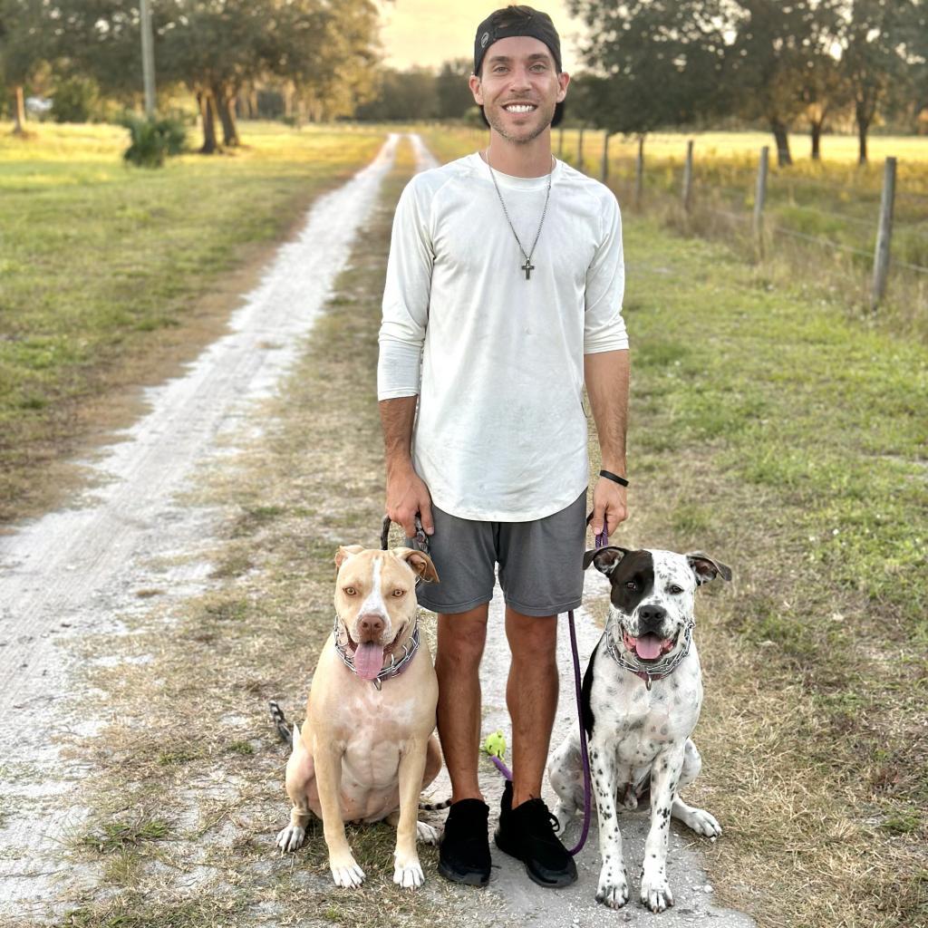 Enlarge INKY, a Adoptable mixed breed in Indiantown, FL image 3/6