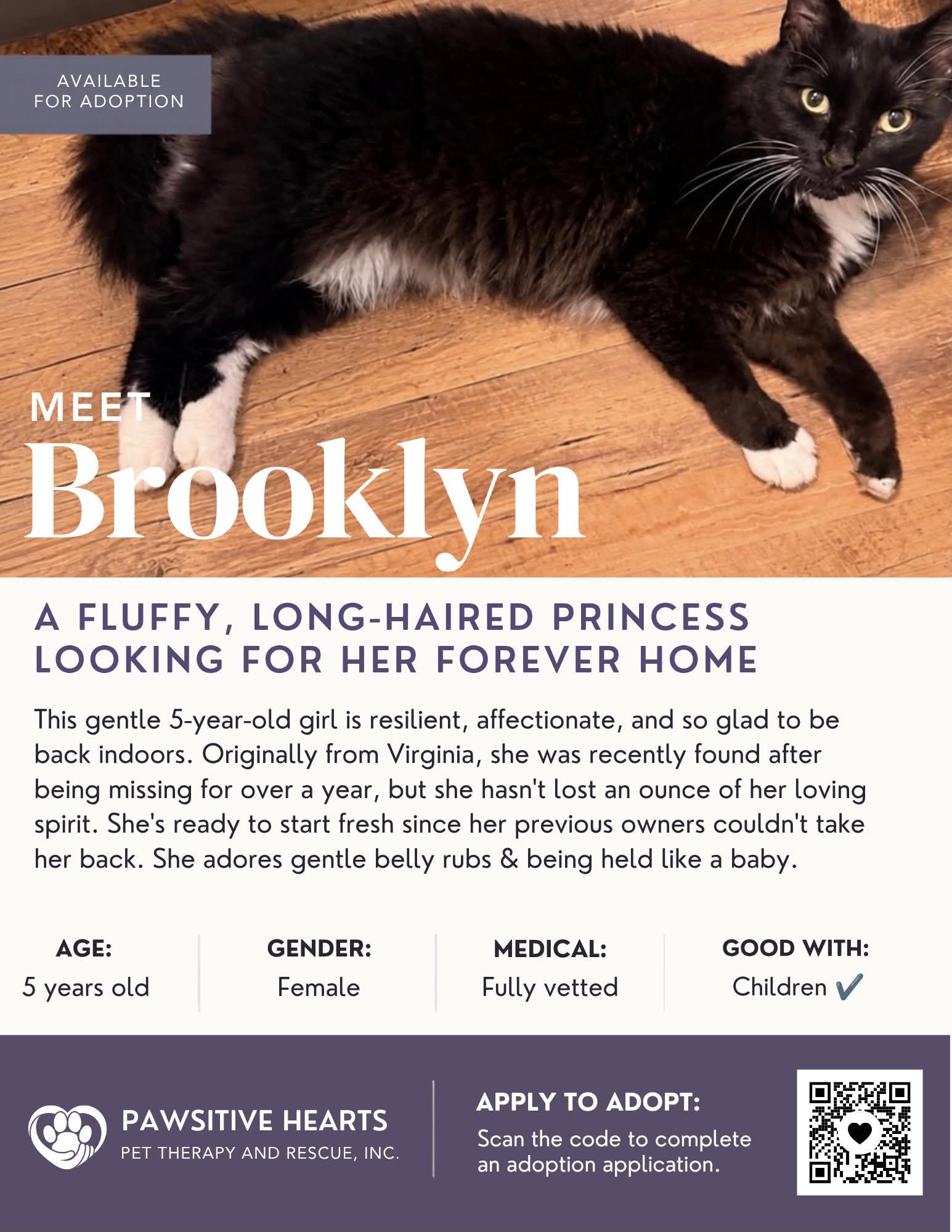 Brooklyn, Adopted, Adult Female Domestic Medium Hair.