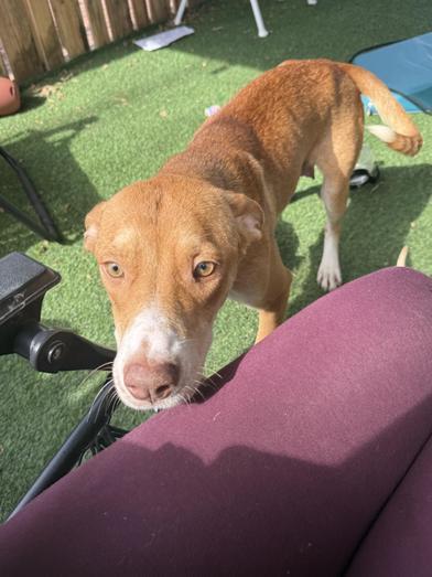 Lola — thumbnail 5