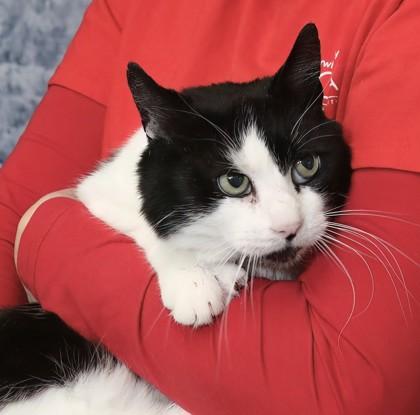 Sedrick — thumbnail 2