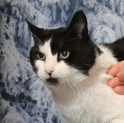 Sedrick — thumbnail 3