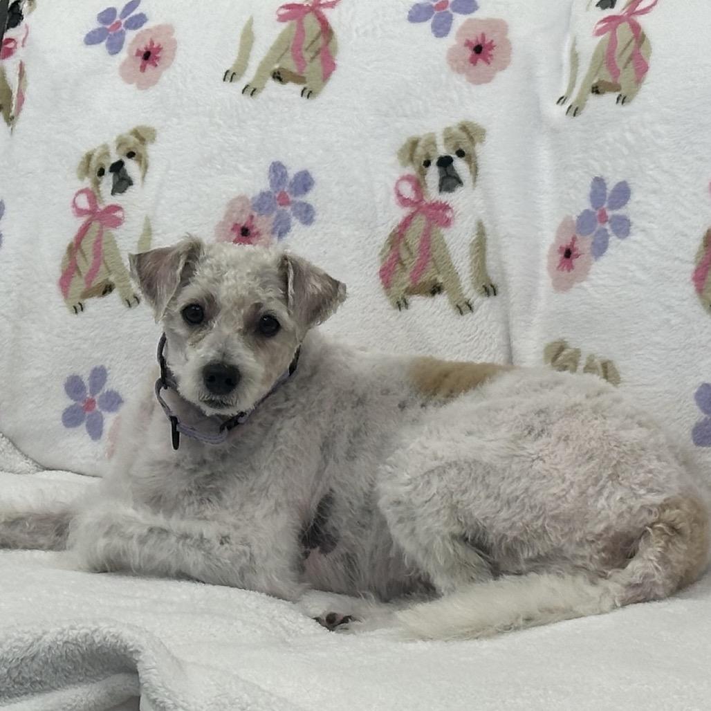 Lucas — thumbnail 2