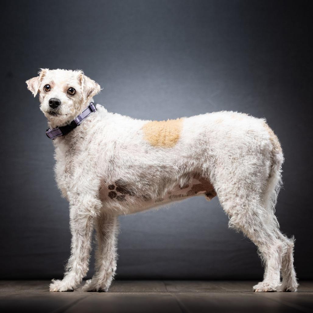 Lucas — thumbnail 3