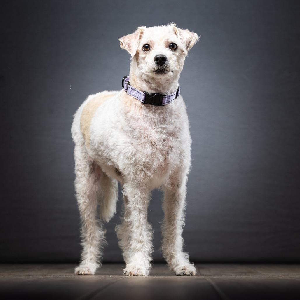 Lucas — thumbnail 4