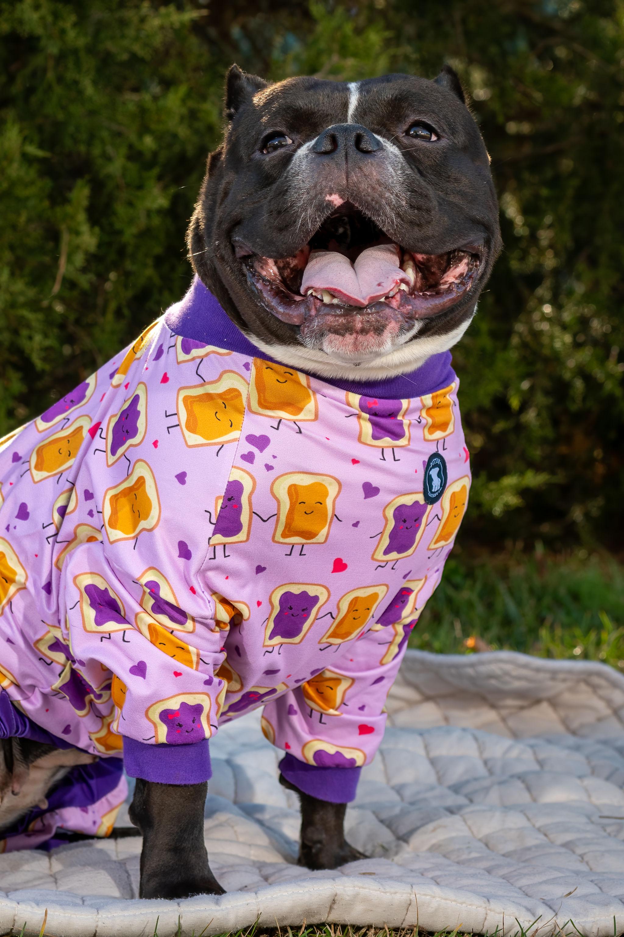 Enlarge Kiwi, a Adoptable American Bully in Grandy, NC image 6/6