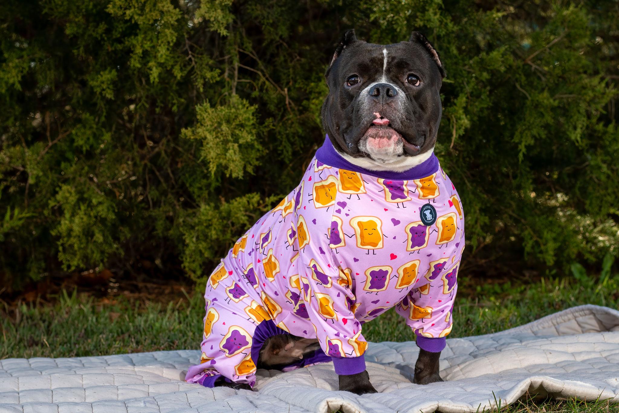 Enlarge Kiwi, a Adoptable American Bully in Grandy, NC image 5/6