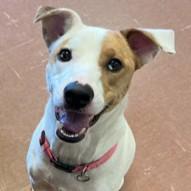 Nina — thumbnail 2