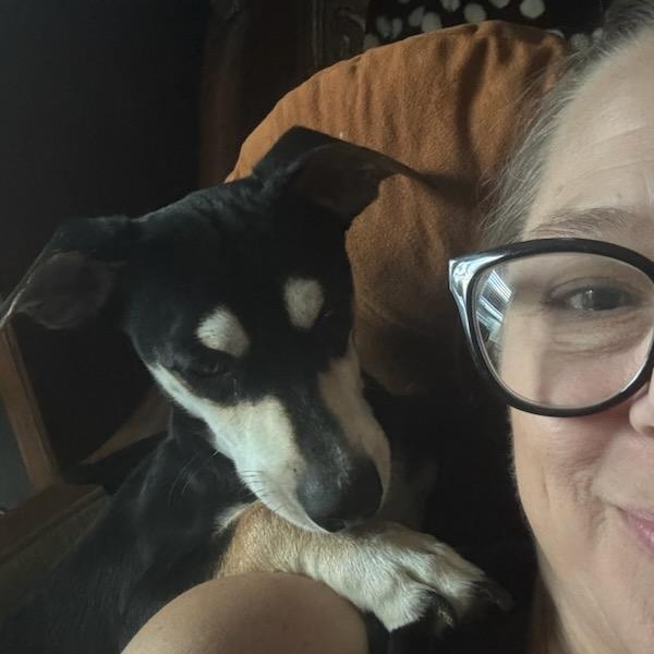 Chucho Chip, an adopted mixed breed in Greenville, SC image 2/2