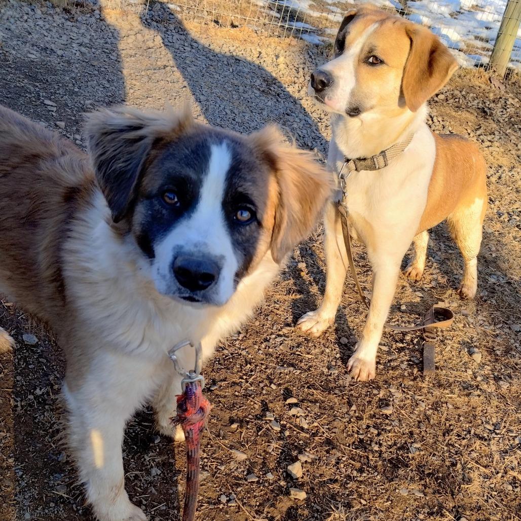 Fluffy — thumbnail 5