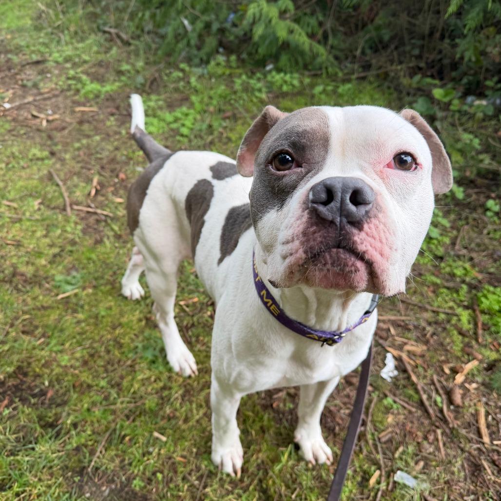 Ireland — thumbnail 2