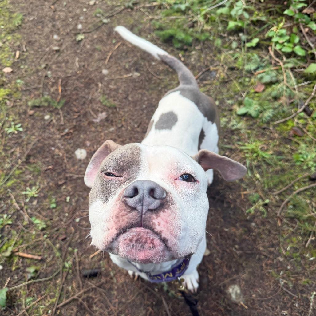 Ireland — thumbnail 3