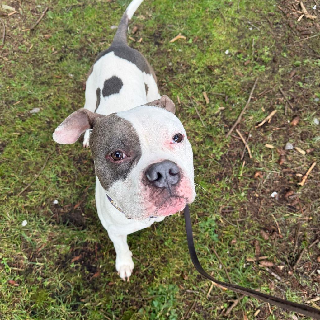 Ireland — thumbnail 4