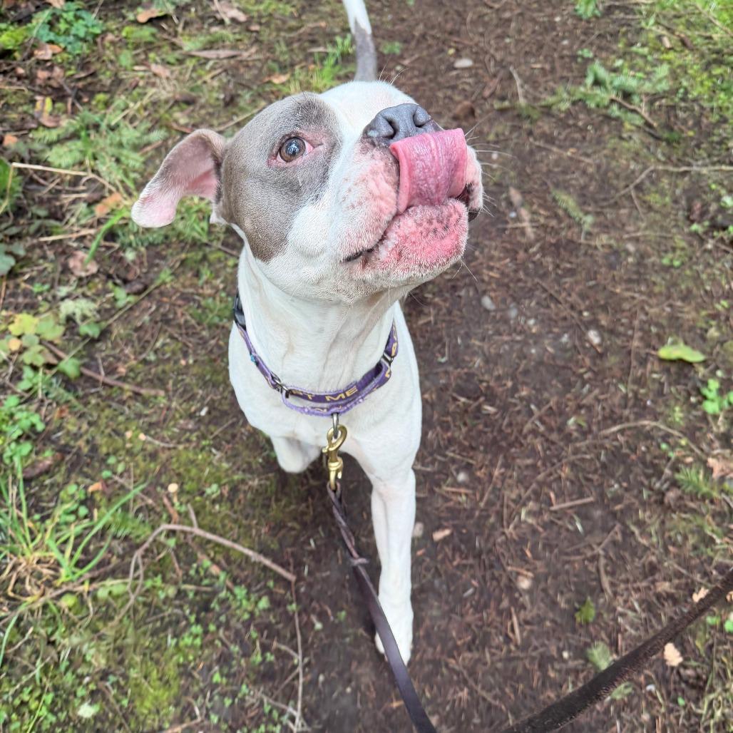 Ireland — thumbnail 5