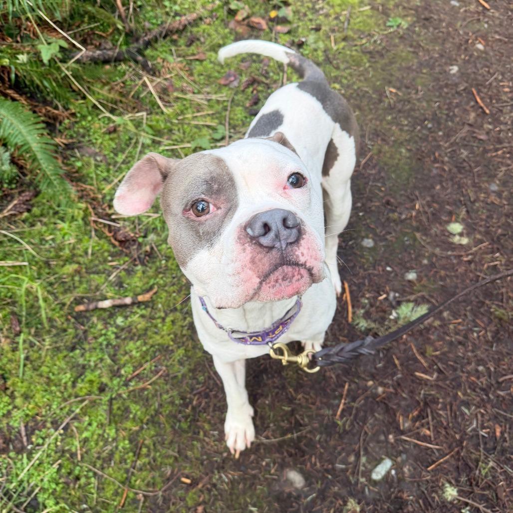 Ireland — thumbnail 6