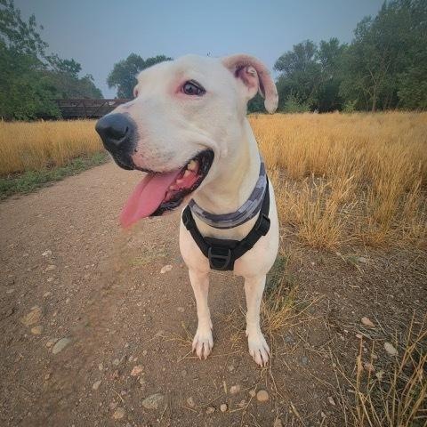 Allegra photo 1