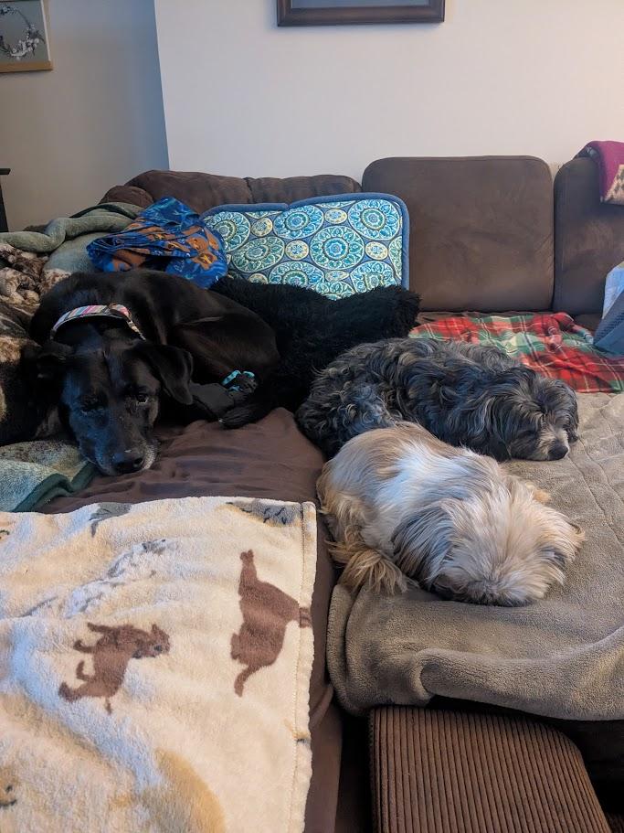 Mabel — thumbnail 3