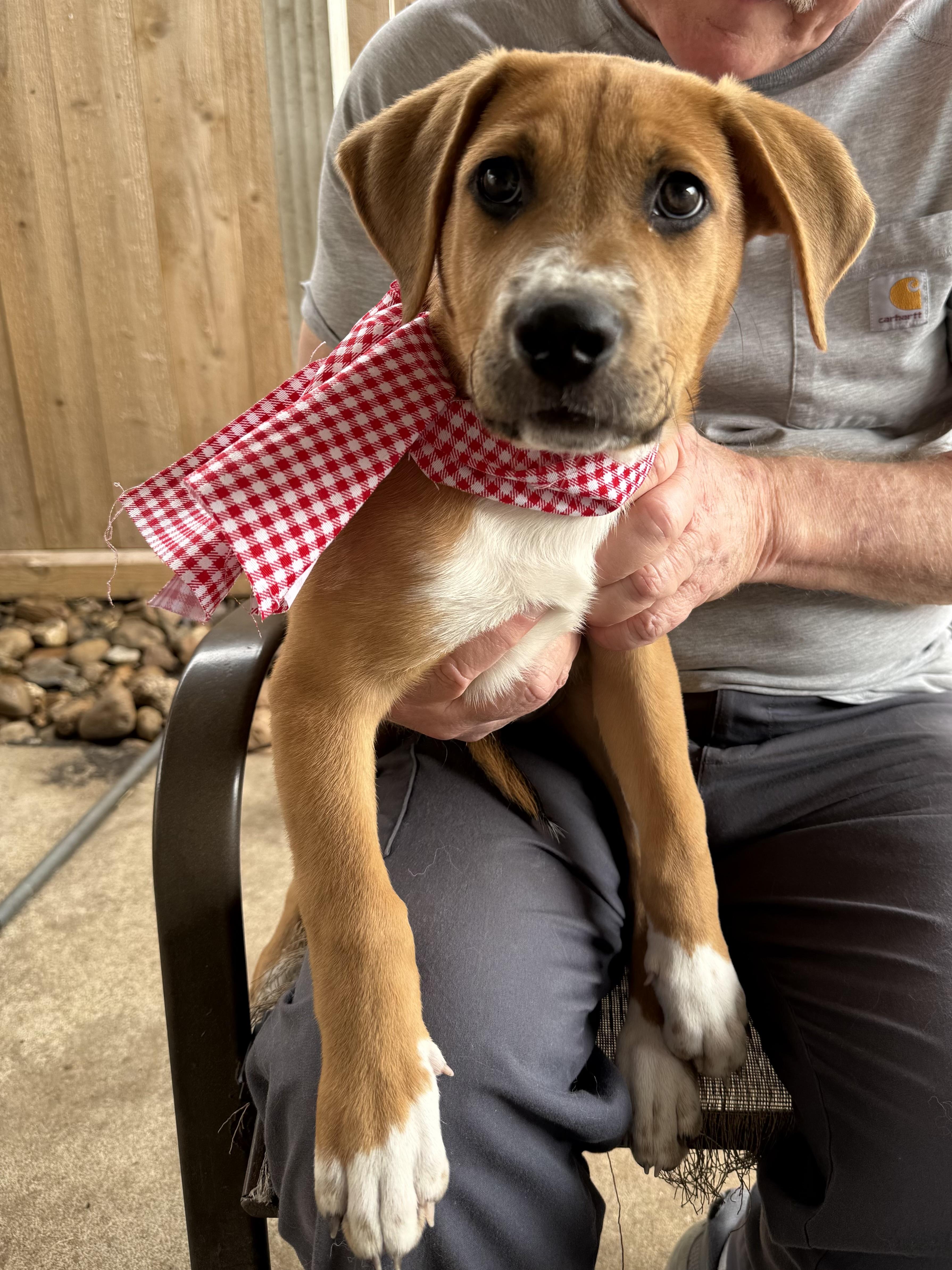 Sky Valentina — thumbnail 3