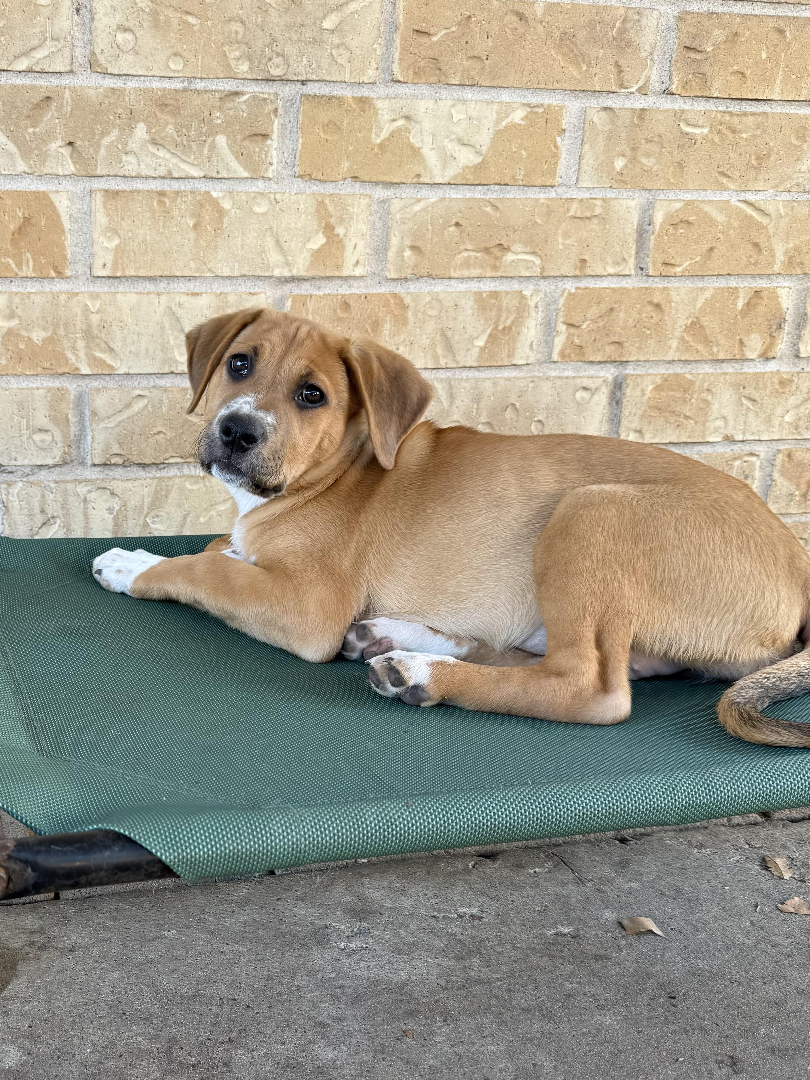 Sky Valentina — thumbnail 4