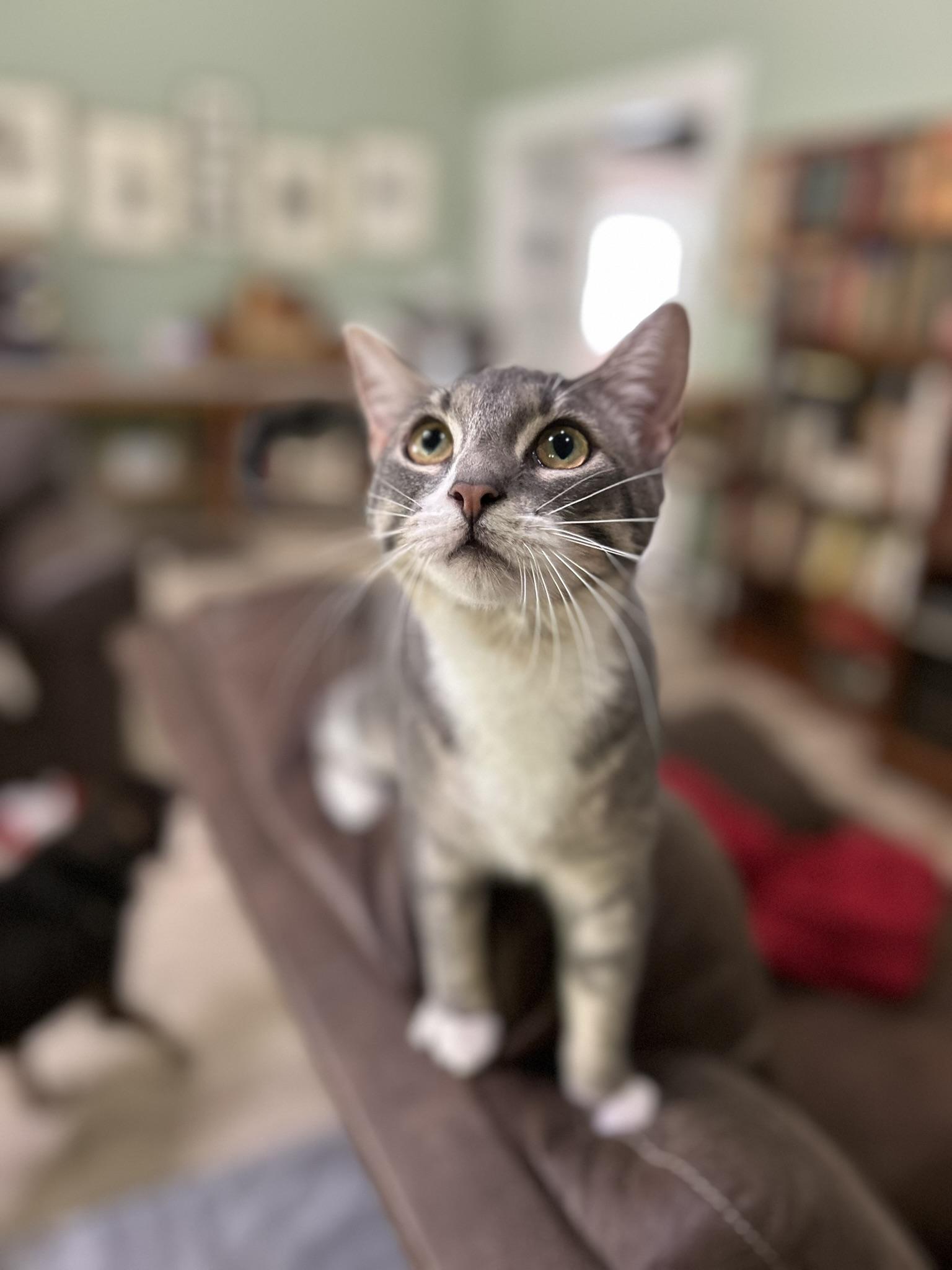 Spice - and Spunk, Always Fun!