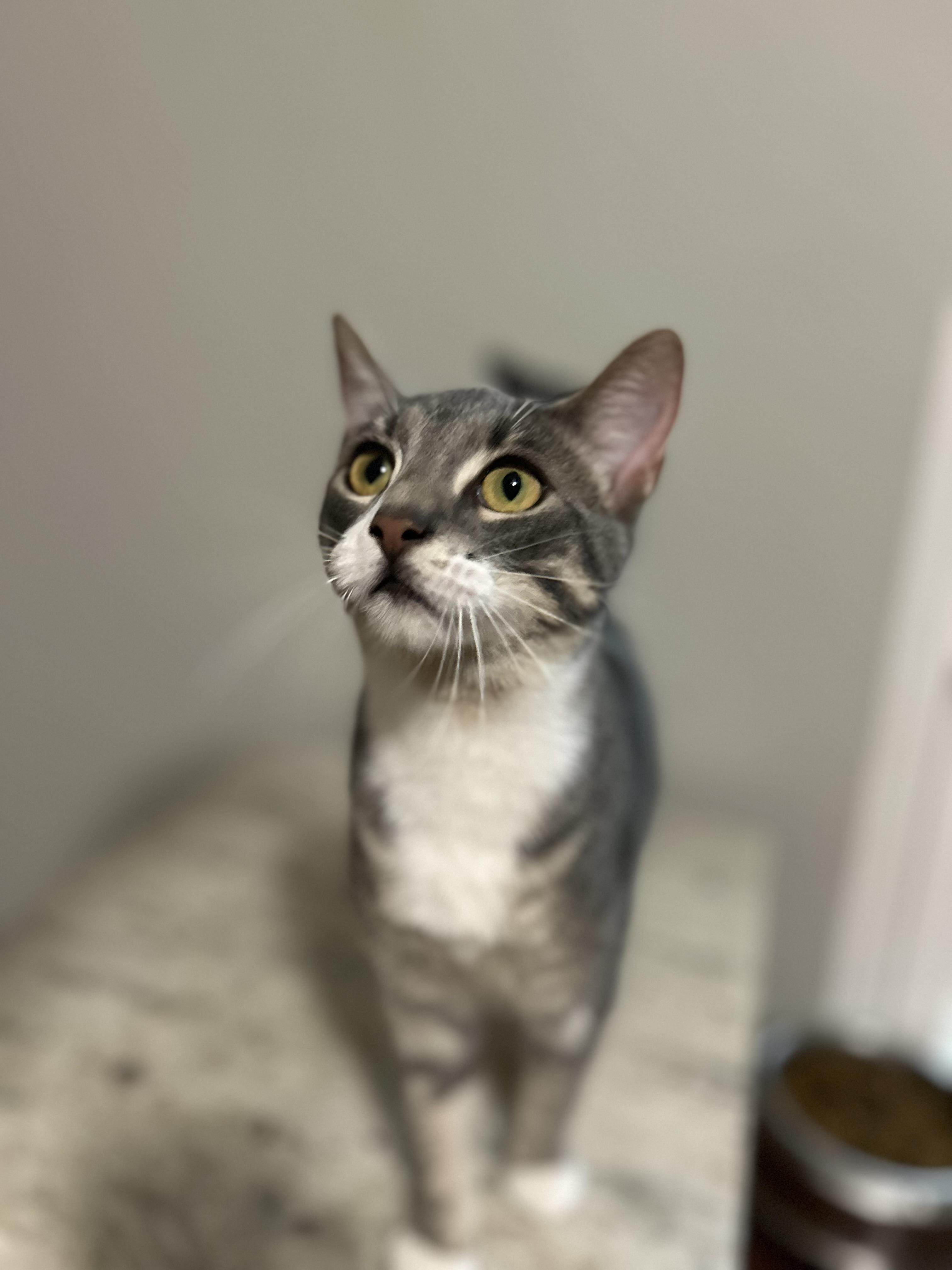 Spice - and Spunk, Always Fun!