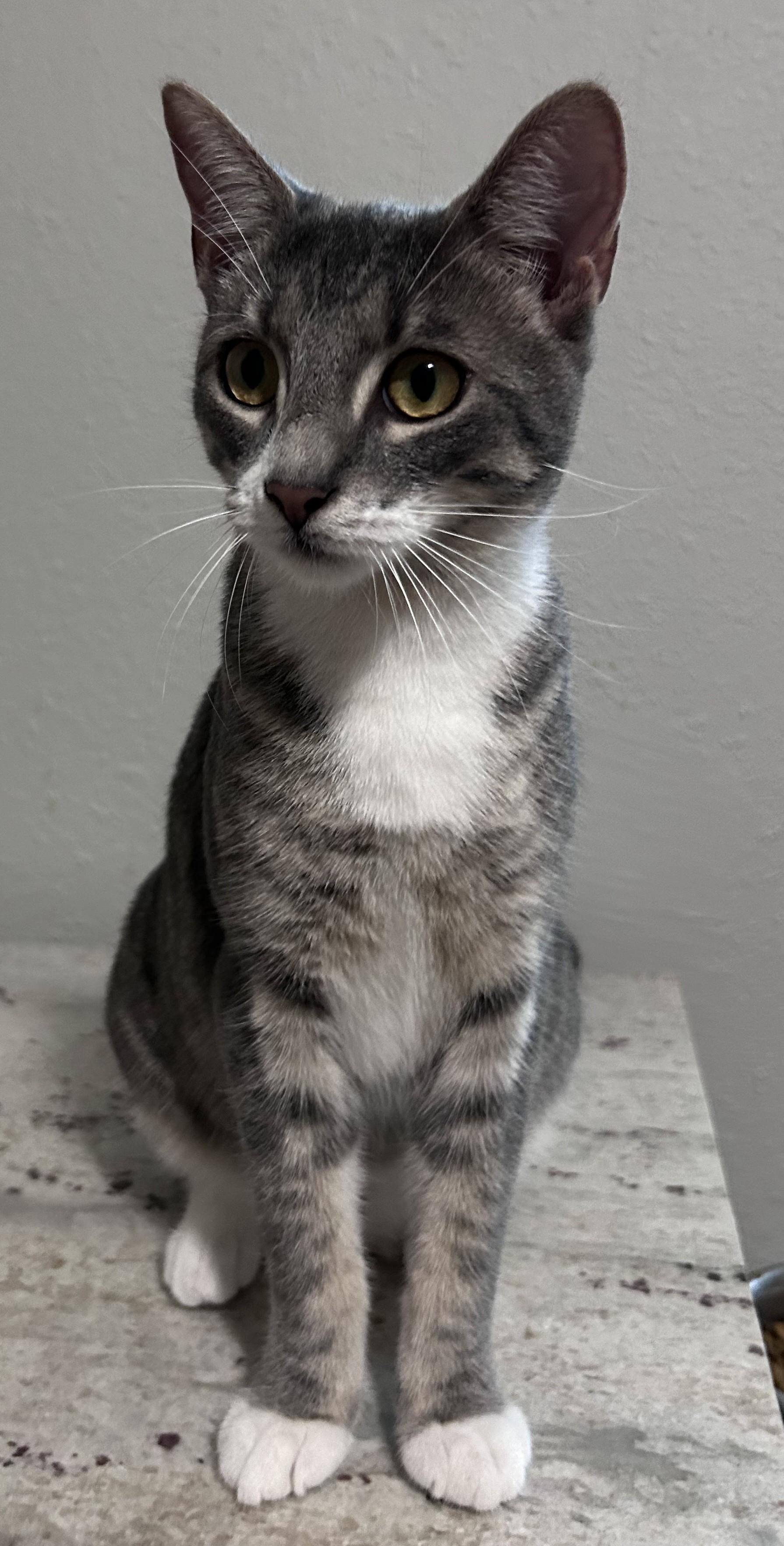 Spice - and Spunk, Always Fun!