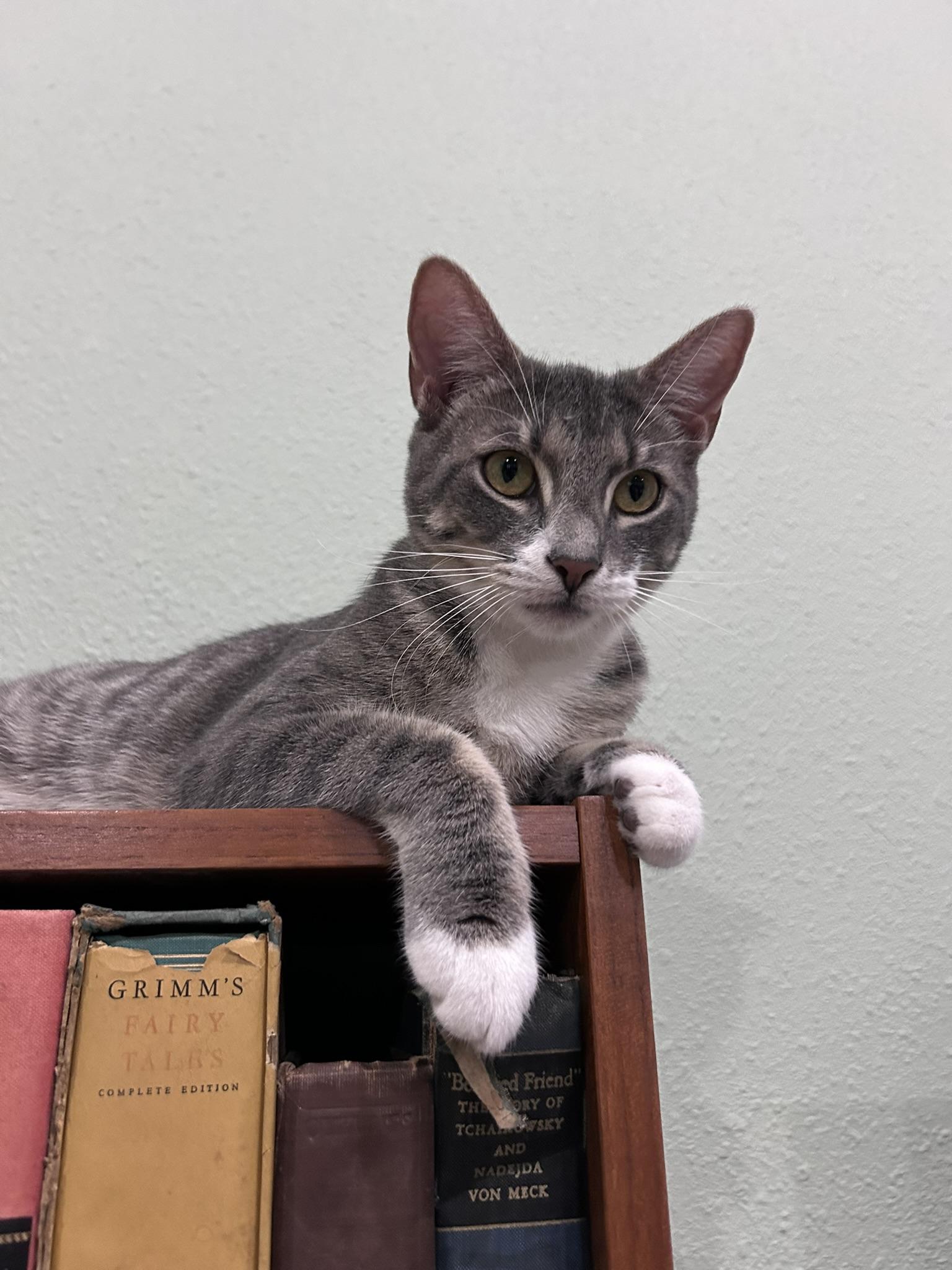 Spice - and Spunk, Always Fun!