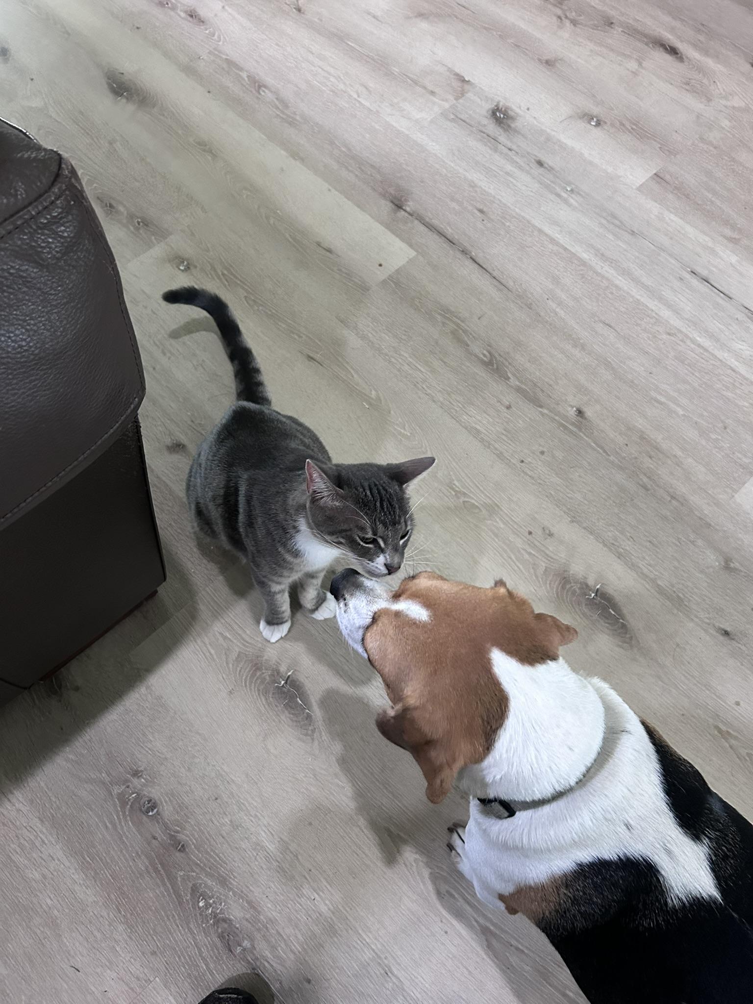 Spice - and Spunk, Always Fun!