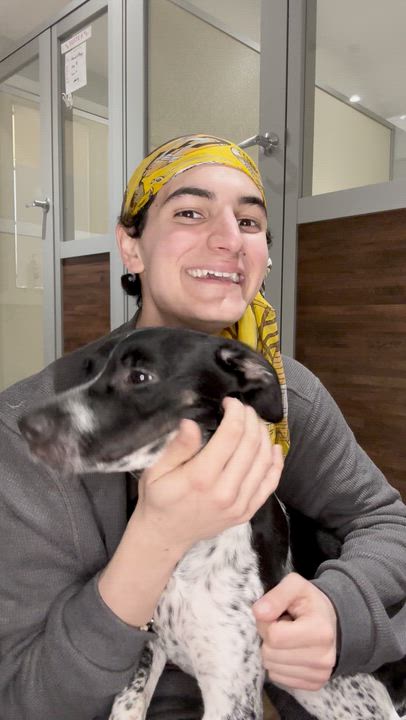 Enlarge Callie, a ADOPTABLE mixed breed in Aurora, ON video 2/6