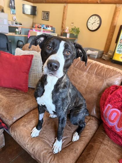 Cindy Lou — thumbnail 2