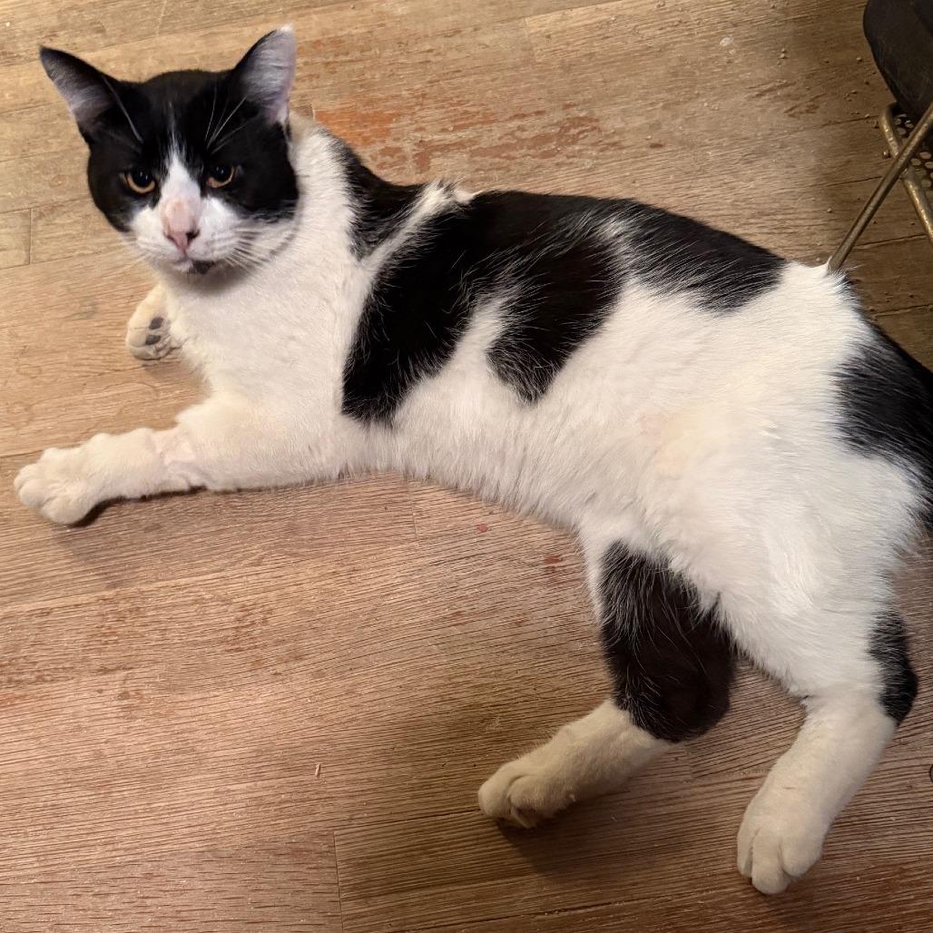 Buster — thumbnail 3