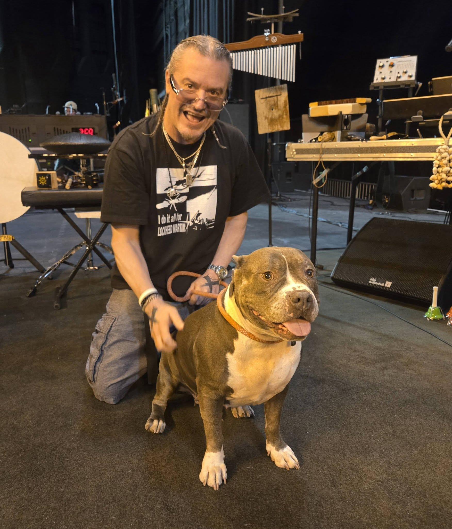 Lizzo, an adoptable American Staffordshire Terrier in Phoenix, AZ image 3/6